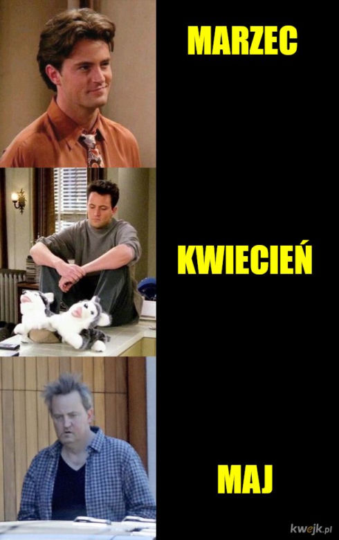 Memy o koronawirusie