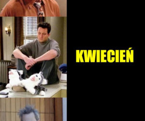 Memy o koronawirusie