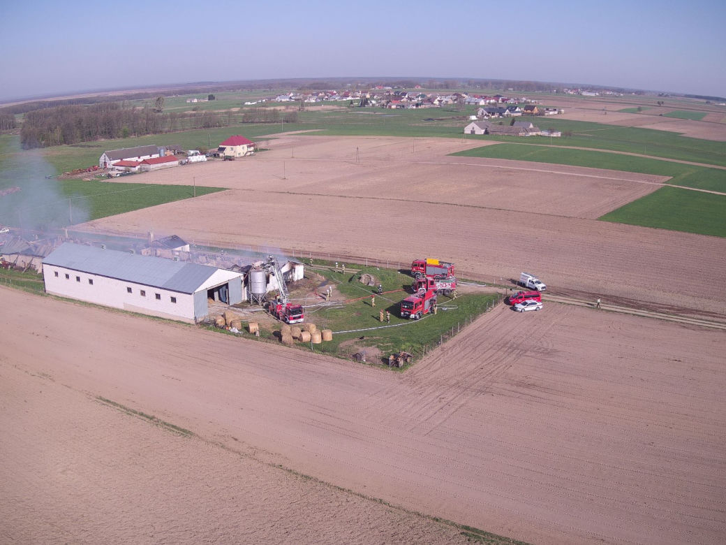 Ogromny pożar kurników w Podlaskiem. W środku było 17 tys. kurcząt