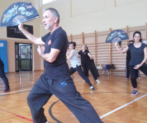 Narodowy Dzień Sportu 2018 w Lublinie - Tai Chi