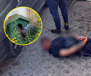 Przed policją schował się do budy. „Sprytna” sztuczka nie pomogła