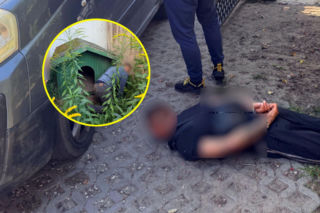 Przed policją schował się do budy. „Sprytna” sztuczka nie pomogła