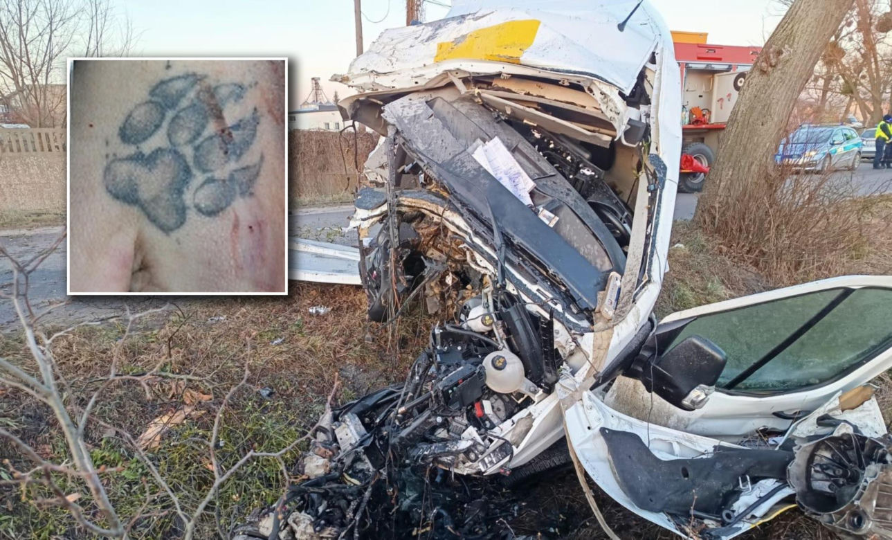 Ukradł auto kuriera i zginął po uderzeniu w drzewo. Policja publikuje te zdjęcia i prosi o pomoc