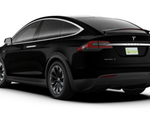 Qarson Tesla Model X