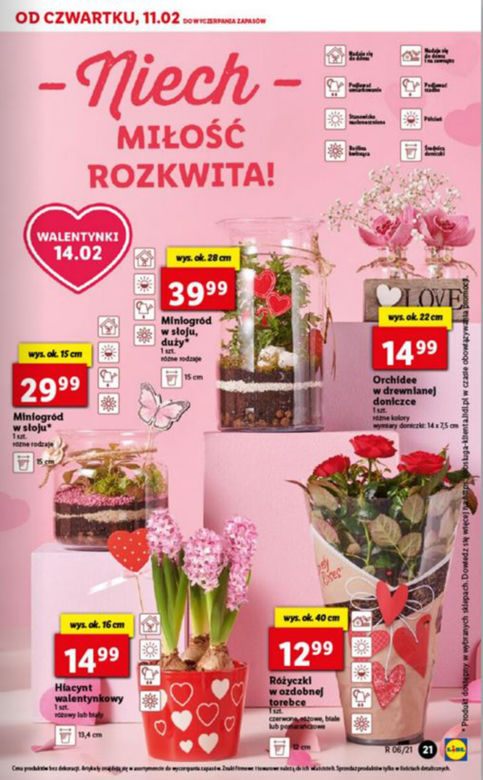 Niech miłość rozkwita