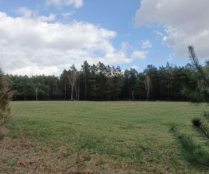 Placówka „Pierzyna”. Jak konspiratorzy przygotowywali się na przyjęcie Cichociemnych