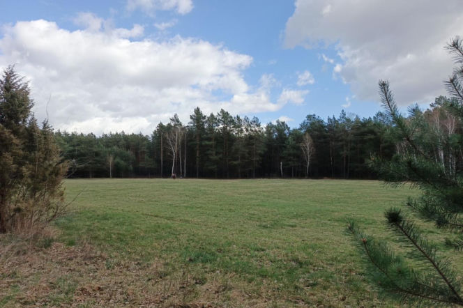 Placówka „Pierzyna”. Jak konspiratorzy przygotowywali się na przyjęcie Cichociemnych