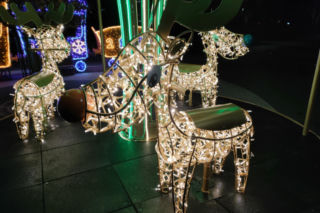 W Łomży pojawią się nowe świąteczne iluminacje. Rozbłysną już niebawem!