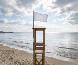 Sinice Sopot. Czy w Sopocie można się kąpać 24.08? Flaga, warunki pogodowe