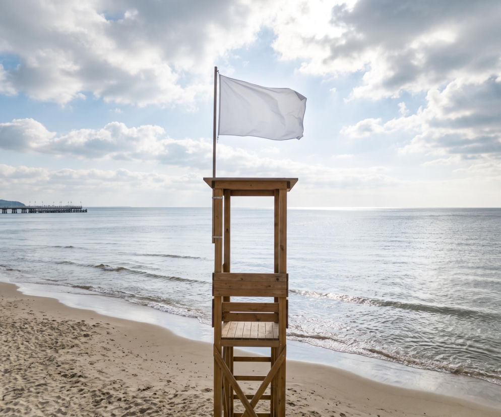 Sinice Sopot. Czy w Sopocie można się kąpać 24.08? Flaga, warunki pogodowe