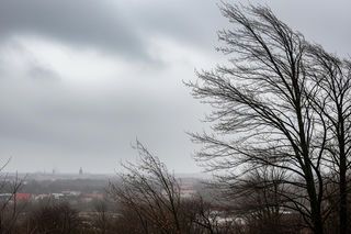 Niespodzianka w Gdańsku! Kto przewidział TEN powiew zimy?