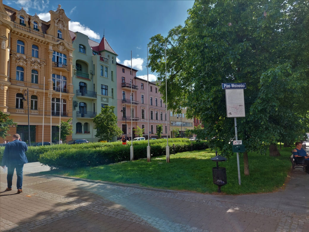 Plac Wolności do remontu. Radni na jego czas wyłączyli ochronę nad cennym drzewem