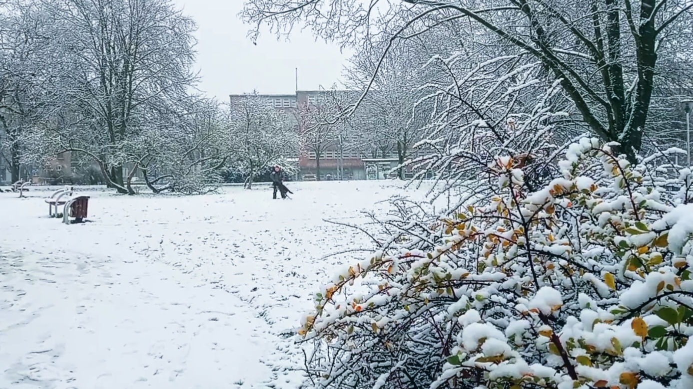 Pierwszy śnieg w Szczecinie