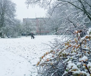 Pierwszy śnieg w Szczecinie