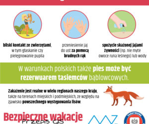 Bąblowica - groźna choroba, która atakuje latem