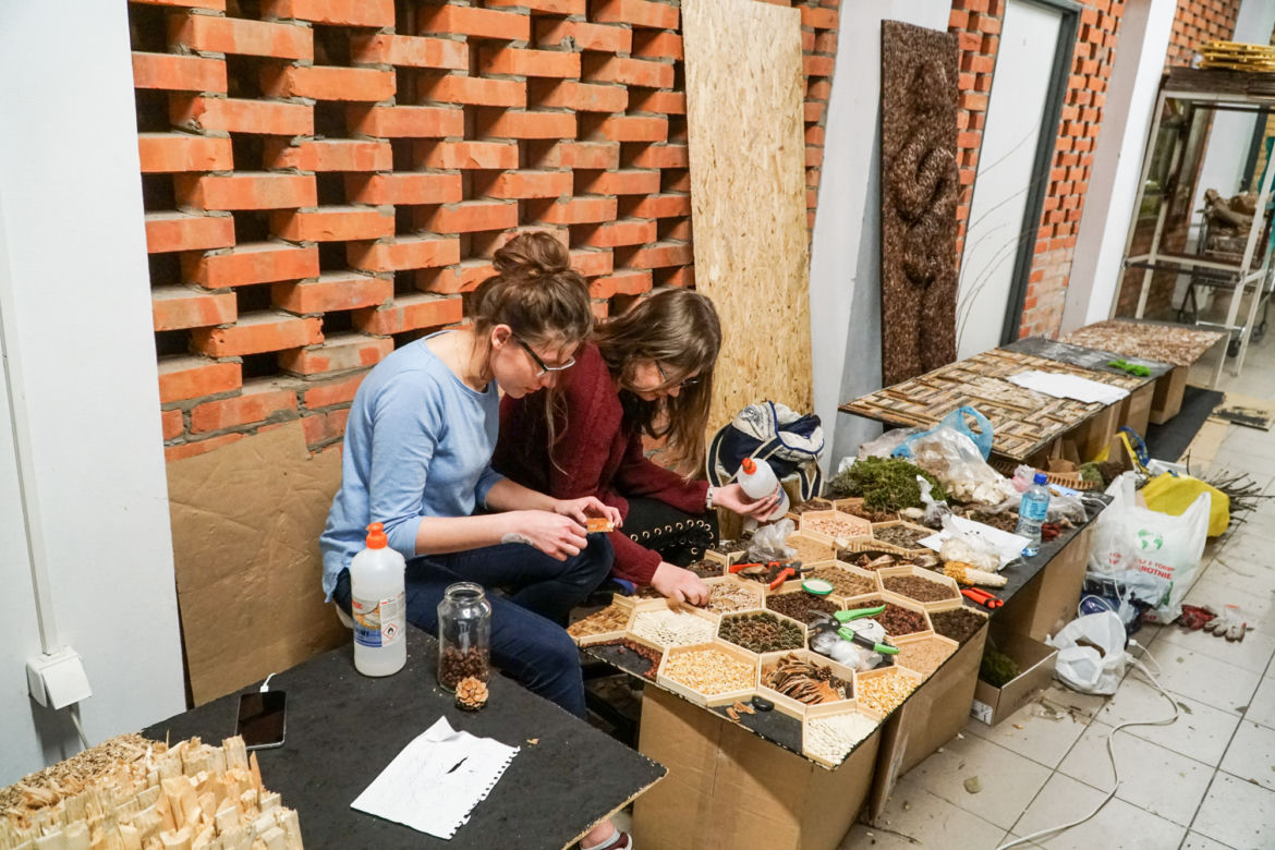 Instalacje artystyczne z roślin wykonane w pracowni Architektury Krajobrazu KUL, przez studentów pod okiem wykładowcy mgr. inż. Pawła Adamca