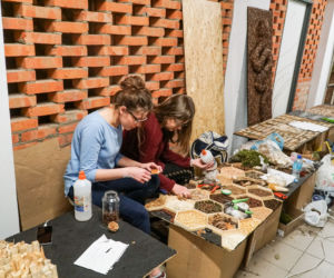 Instalacje artystyczne z roślin wykonane w pracowni Architektury Krajobrazu KUL, przez studentów pod okiem wykładowcy mgr. inż. Pawła Adamca
