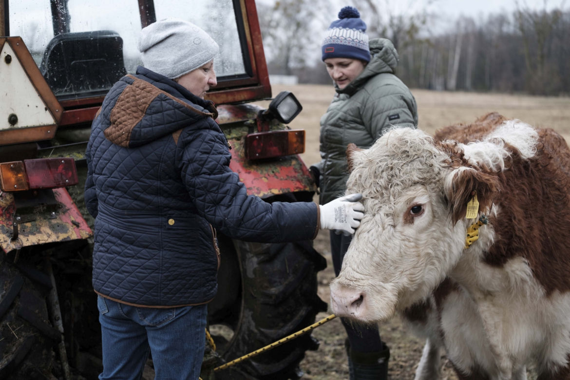 Rolnicy. Podlasie. Emilia Korolczuk i jej Ranczo Laszki