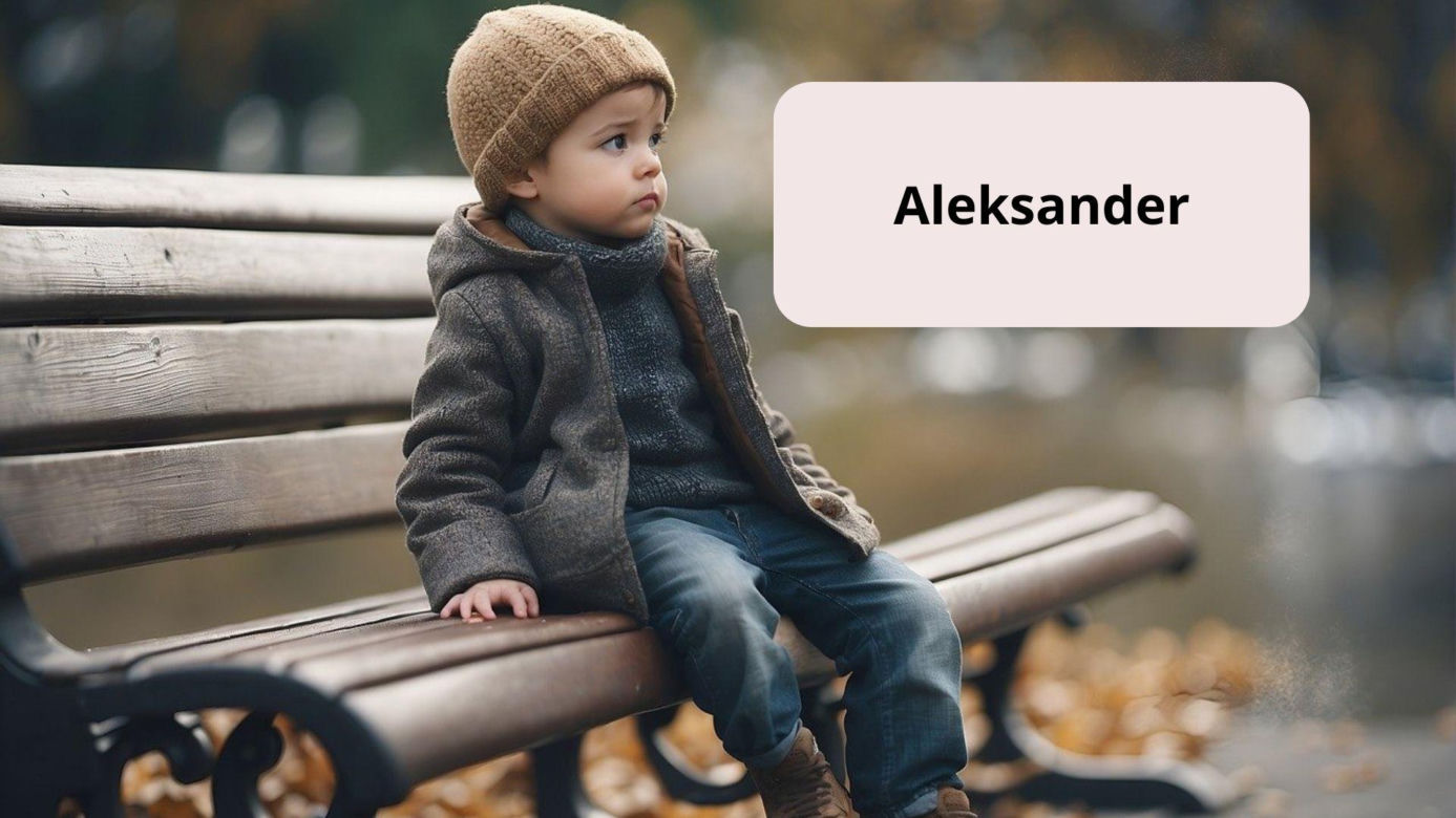 ALEKSANDER 341