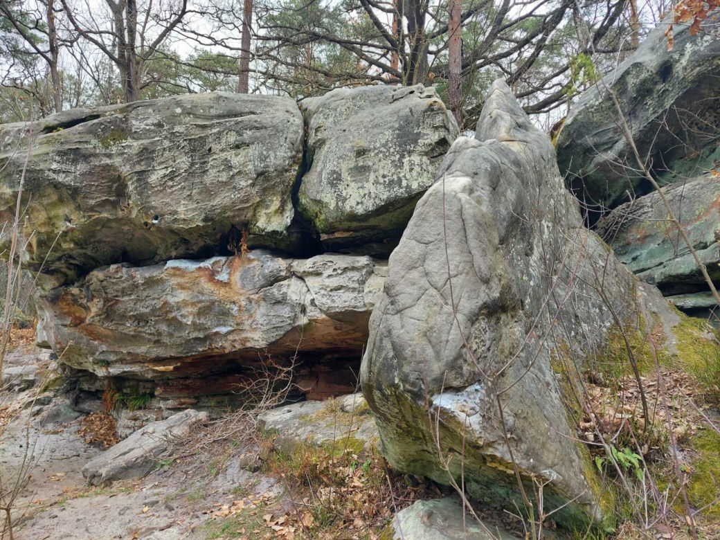 Rezerwat Przyrody "Skały pod Adamowem"