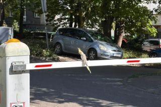 Osiedle w Katowicach ściga papużkę, ale ta się nie daje!