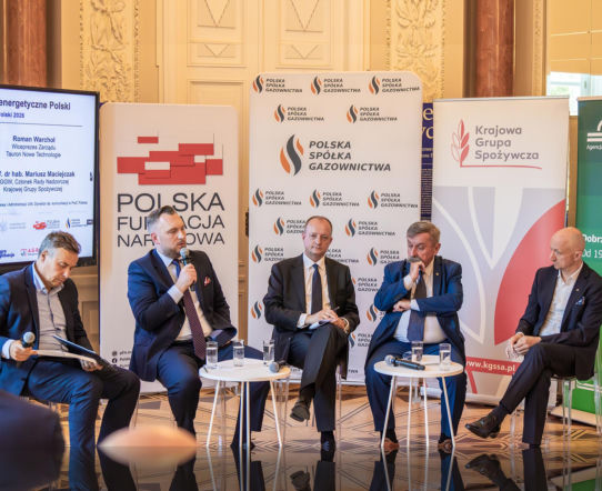 Produkowanie energii nie wystarczy. Sieci, magazyny i surowce zdecydują o bezpieczeństwie Polski