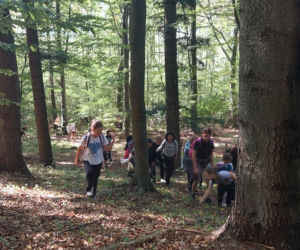 52. Rajd Miłośników Roztocza