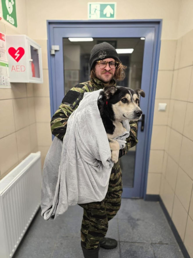 Akcja ratunkowa w likwidowanym schronisku Kocham Psisko w Mąkosach Nowych