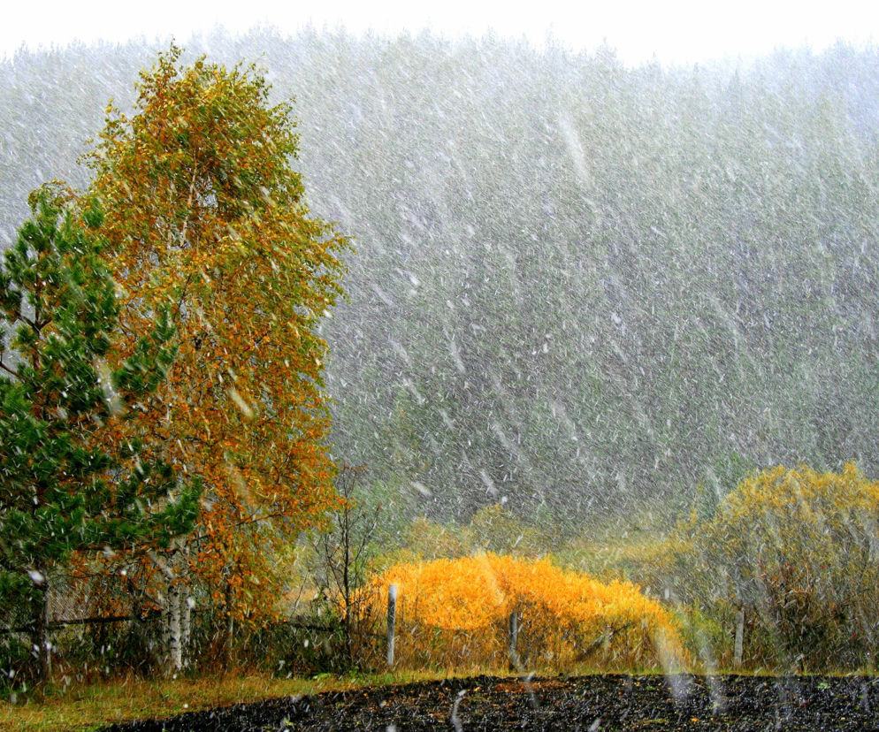 Idzie zima? Sprawdź, kiedy spadnie pierwszy śnieg w Radomiu [PROGNOZA]