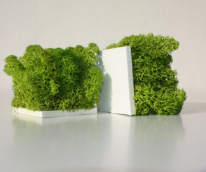 Green Decor
