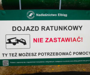 Turyści masowo zastawiają drogi ratunkowe nad morzem. Leśnicy apelują [FOTO]
