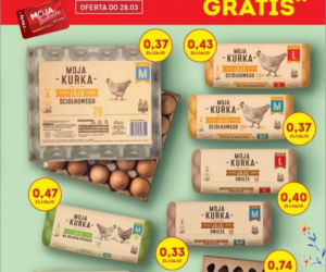 Nowe promocje w Biedronce od 25.03.