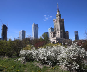 Chcą zburzyć Pałac Kultury. Kontrowersyjny pomysł znów powraca