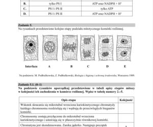 Matura próbna 2020 biologia, str.6