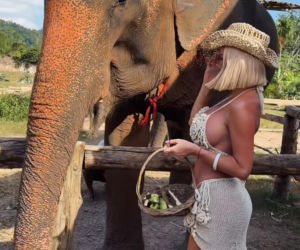 Gwiazdy witają nowy rok w bikini