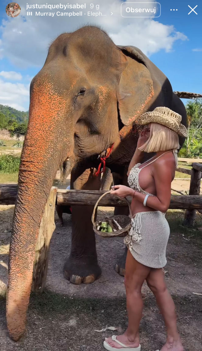 Gwiazdy witają nowy rok w bikini