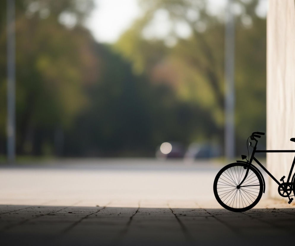 Czarny rower stoi w cieniu pod betonową ścianą po prawej stronie kadru. Jest to typ roweru miejskiego z błotnikami, bagażnikiem i lampą przednią. Podłoże w cieniu jest wykonane z ciemnych, prostokątnych płyt chodnikowych. W tle rozciąga się jasna, rozmyta droga lub ścieżka, za którą widać zamazane zielone drzewa i krzewy.
