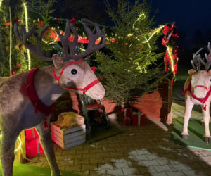 Świąteczny Jarmark w centrum Starachowic. Zobacz zdjęcia!