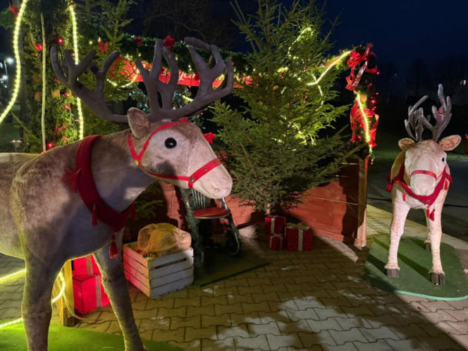 Świąteczny Jarmark w centrum Starachowic. Zobacz zdjęcia!