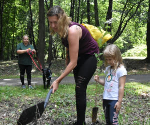 Park Śląski: AKCJA 1327 DRZEW