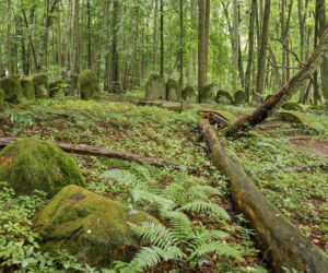 Pseudomegalityczny cmentarz Dohnów na Mazurach [GALERIA]
