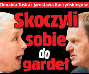 Skoczyli sobie do gardeł
