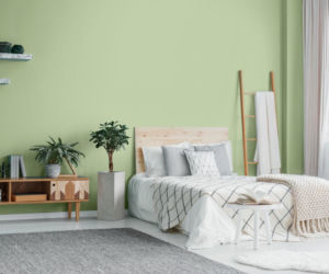 Kolory roku 2019 wg Para Paints