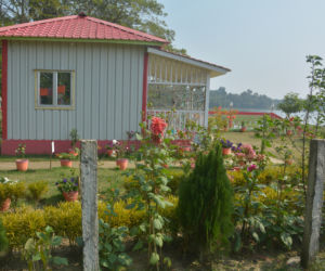 Domek letniskowy