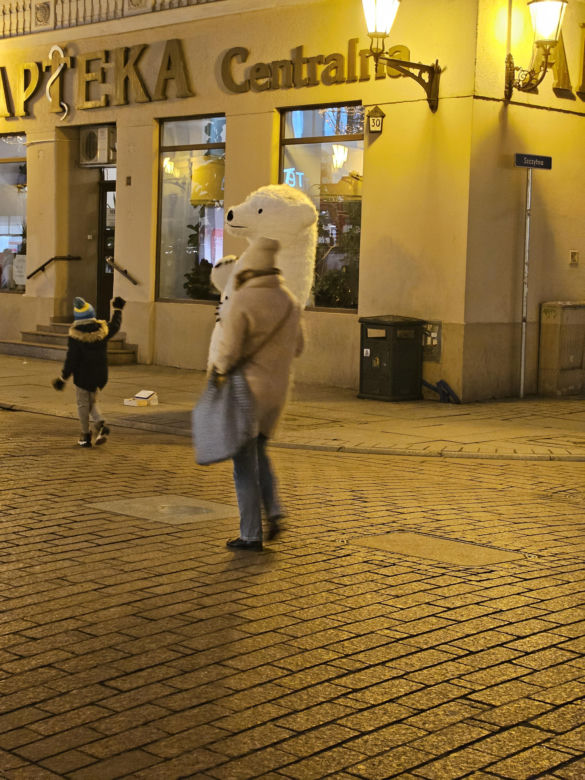 Biały Miś na toruńskiej starówce