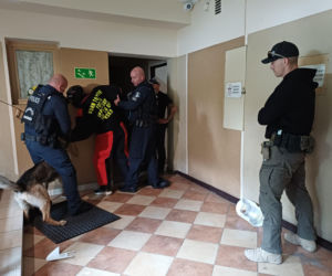 Psy służbowe, szkolenia i strefa pierwszej pomocy. Trwa drugi dzień CERBERUS K9 w Ostrowie