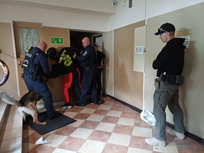 Psy służbowe, szkolenia i strefa pierwszej pomocy. Trwa drugi dzień CERBERUS K9 w Ostrowie