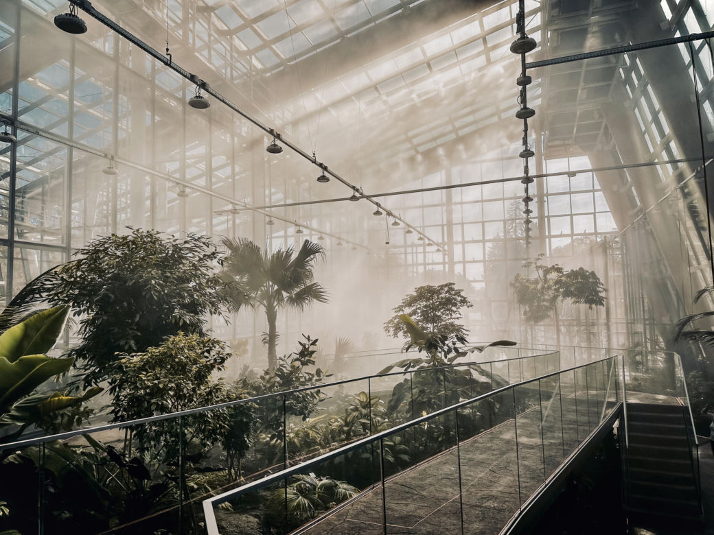 Nowe Egzotarium w Sosnowcu
