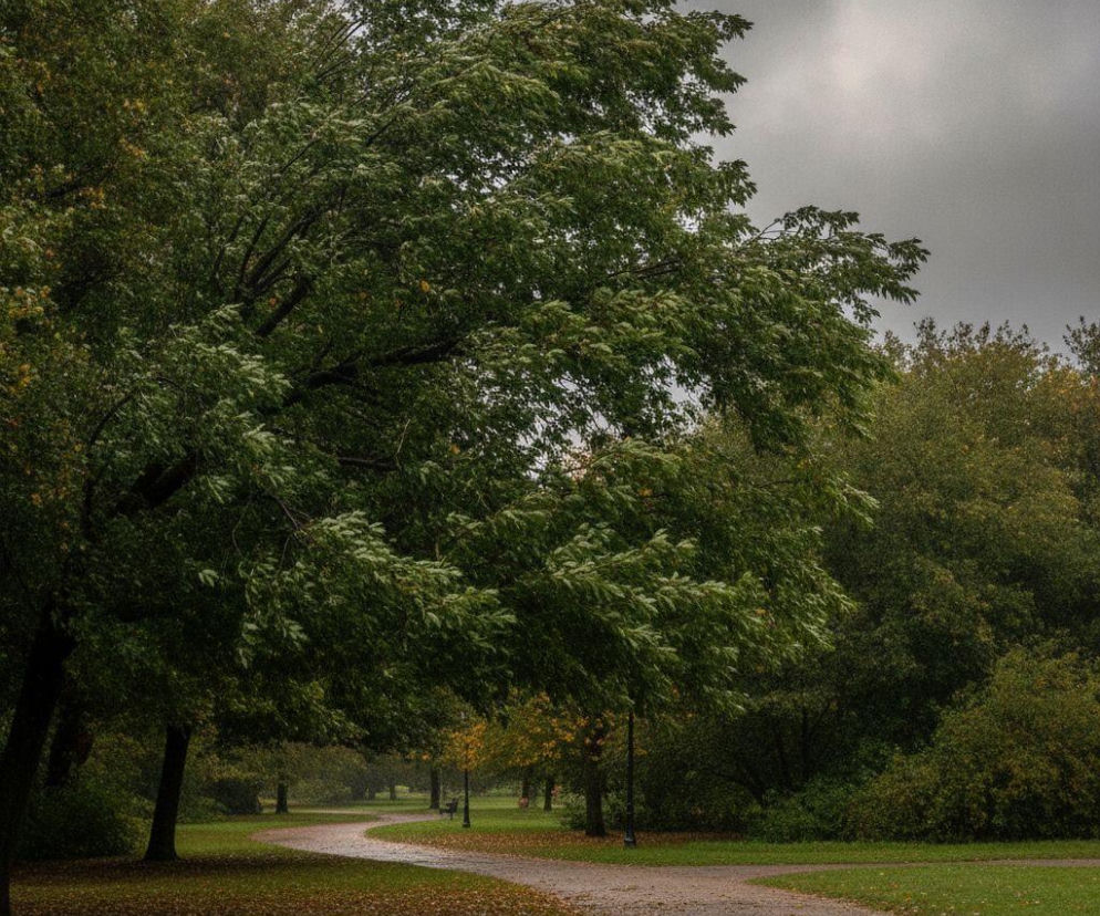 Weekend w Rzeszowie nie będzie cały słoneczny. Prognoza pokazuje jeden ważny szczegół