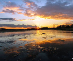 Wiosna na Podlasiu